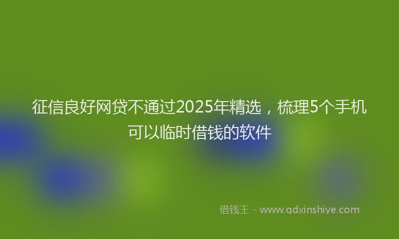 征信良好网贷不通过2025年精选，梳理5个手机可以临时借钱的软件