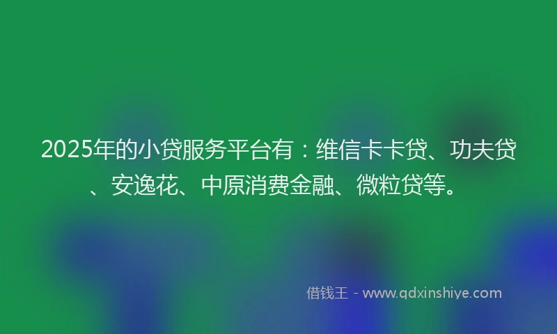 2025年的小贷服务平台有：维信卡卡贷、功夫贷、安逸花、中原消费金融、微粒贷等。