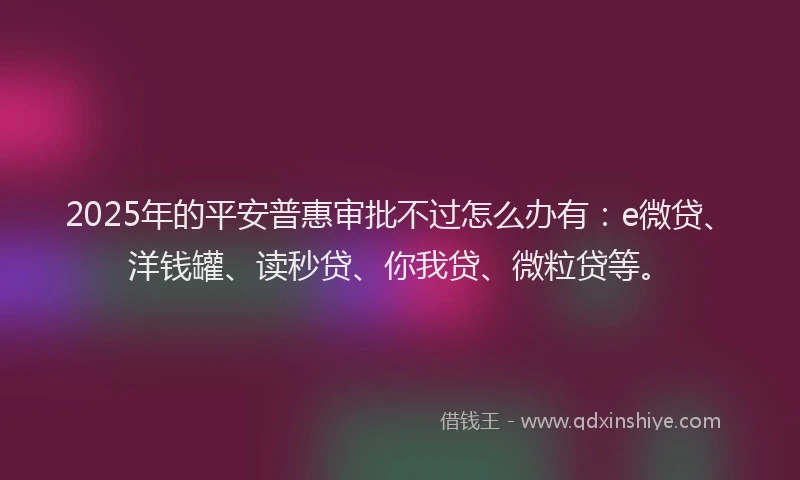 2025年的平安普惠审批不过怎么办有：e微贷、洋钱罐、读秒贷、你我贷、微粒贷等。