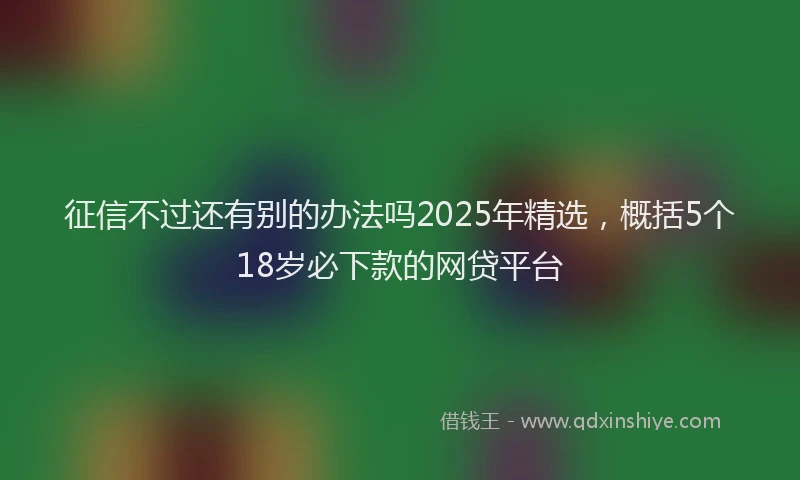 征信不过还有别的办法吗2025年精选，概括5个18岁必下款的网贷平台