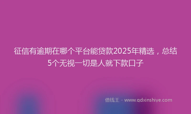 征信有逾期在哪个平台能贷款2025年精选，总结5个无视一切是人就下款口子
