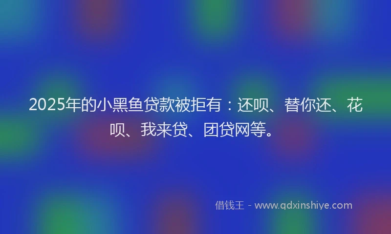 2025年的小黑鱼贷款被拒有：还呗、替你还、花呗、我来贷、团贷网等。