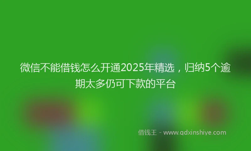 微信不能借钱怎么开通2025年精选，归纳5个逾期太多仍可下款的平台