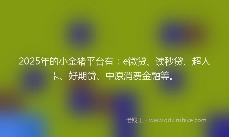2025年的小金猪平台有：e微贷、读秒贷、超人卡、好期贷、中原消费金融等。