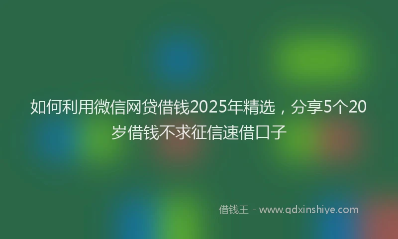 如何利用微信网贷借钱2025年精选，分享5个20岁借钱不求征信速借口子