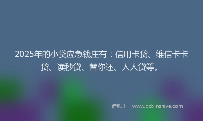 2025年的小贷应急钱庄有：信用卡贷、维信卡卡贷、读秒贷、替你还、人人贷等。