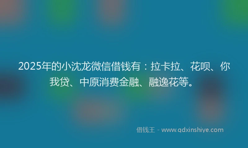 2025年的小沈龙微信借钱有：拉卡拉、花呗、你我贷、中原消费金融、融逸花等。