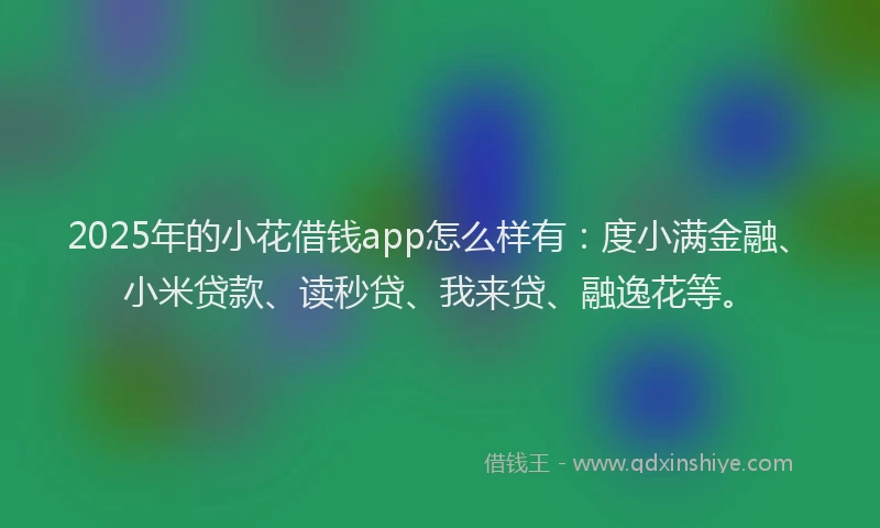 2025年的小花借钱app怎么样有：度小满金融、小米贷款、读秒贷、我来贷、融逸花等。