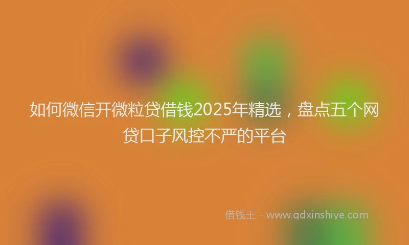 如何微信开微粒贷借钱2025年精选，盘点五个网贷口子风控不严的平台