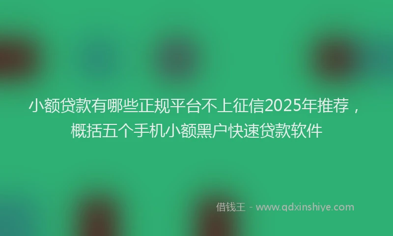 小额贷款有哪些正规平台不上征信2025年推荐，概括五个手机小额黑户快速贷款软件
