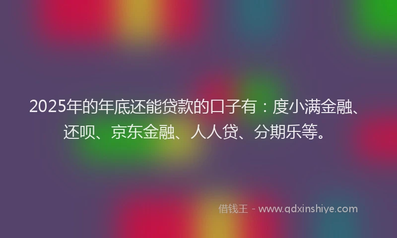 2025年的年底还能贷款的口子有：度小满金融、还呗、京东金融、人人贷、分期乐等。