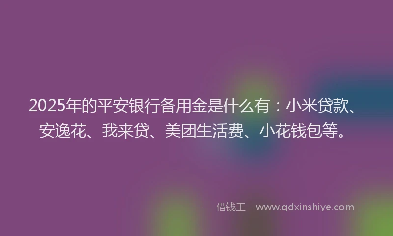 2025年的平安银行备用金是什么有：小米贷款、安逸花、我来贷、美团生活费、小花钱包等。