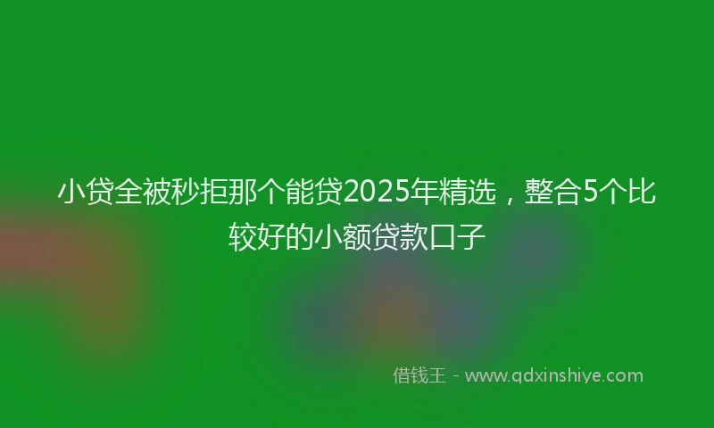 小贷全被秒拒那个能贷2025年精选，整合5个比较好的小额贷款口子
