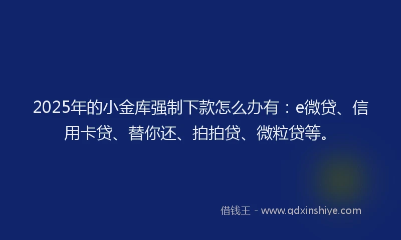 2025年的小金库强制下款怎么办有：e微贷、信用卡贷、替你还、拍拍贷、微粒贷等。
