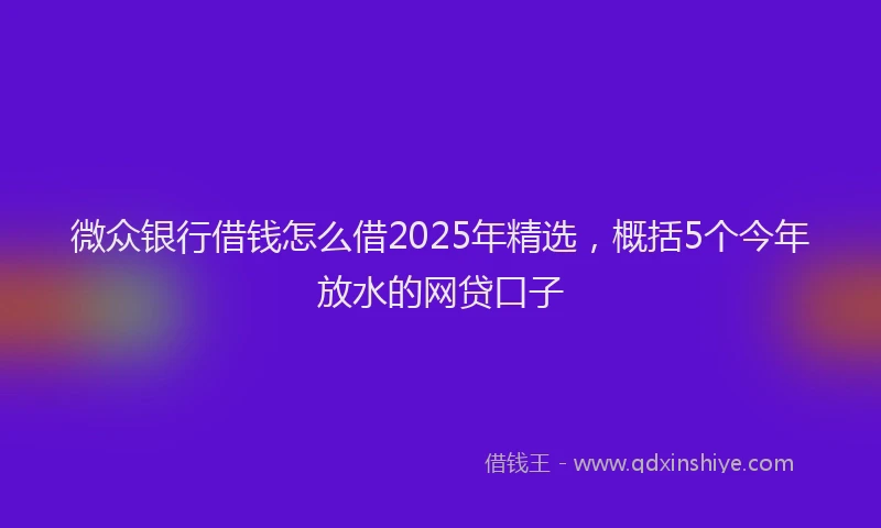 微众银行借钱怎么借2025年精选，概括5个今年放水的网贷口子