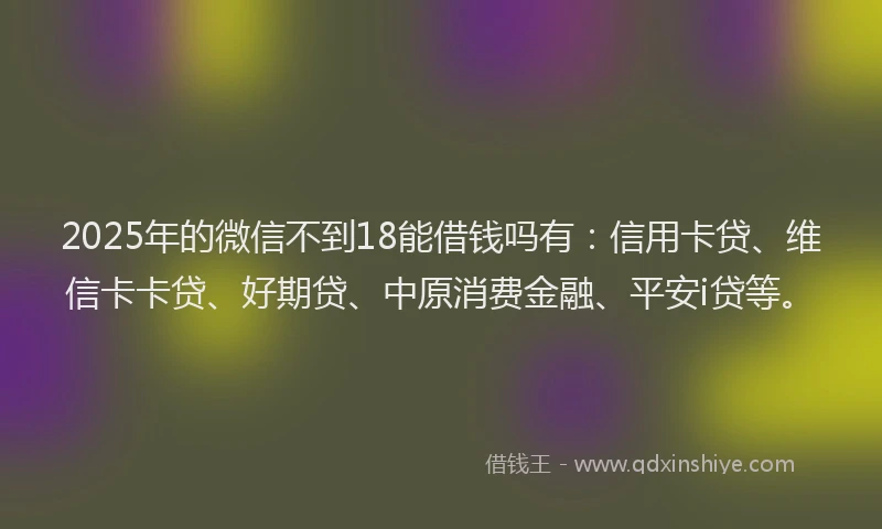 2025年的微信不到18能借钱吗有：信用卡贷、维信卡卡贷、好期贷、中原消费金融、平安i贷等。