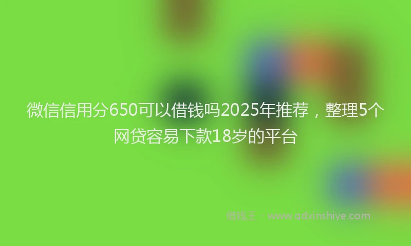 微信信用分650可以借钱吗2025年推荐，整理5个网贷容易下款18岁的平台