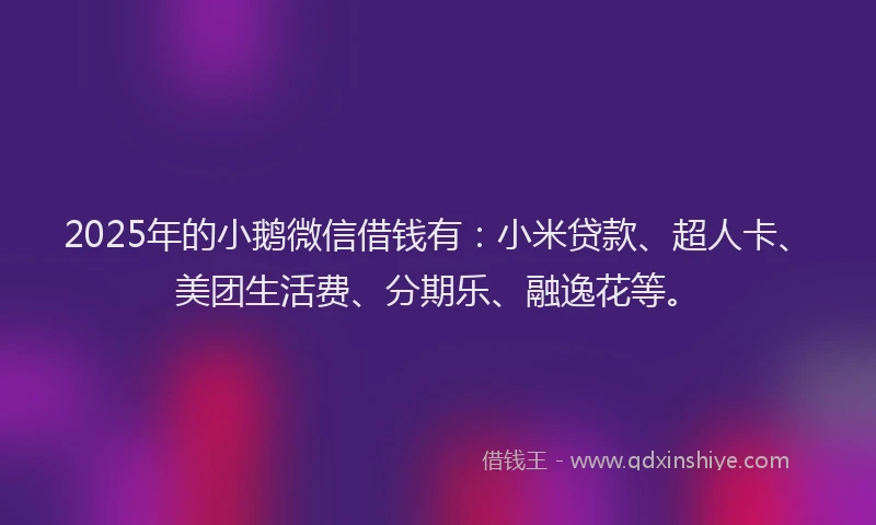 2025年的小鹅微信借钱有：小米贷款、超人卡、美团生活费、分期乐、融逸花等。
