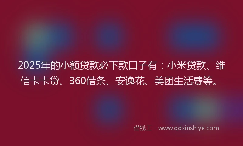 2025年的小额贷款必下款口子有：小米贷款、维信卡卡贷、360借条、安逸花、美团生活费等。