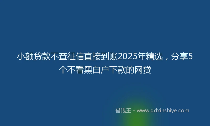小额贷款不查征信直接到账2025年精选，分享5个不看黑白户下款的网贷