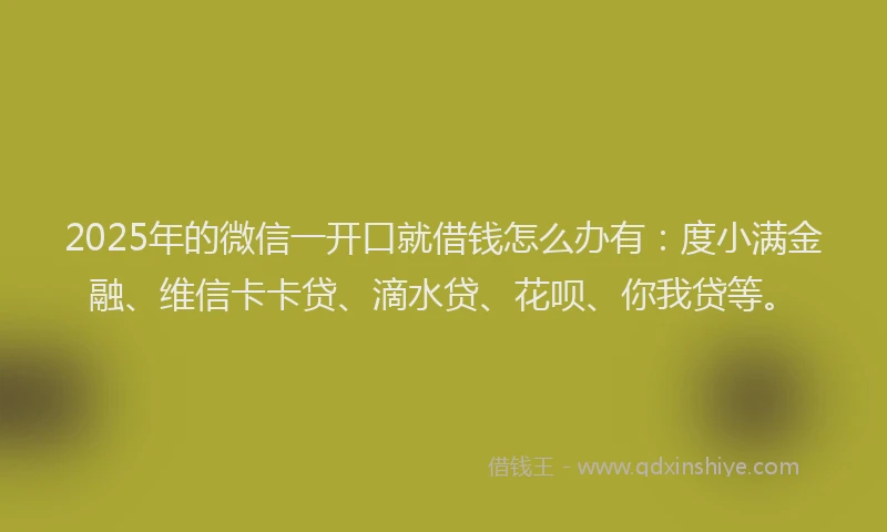 2025年的微信一开口就借钱怎么办有：度小满金融、维信卡卡贷、滴水贷、花呗、你我贷等。
