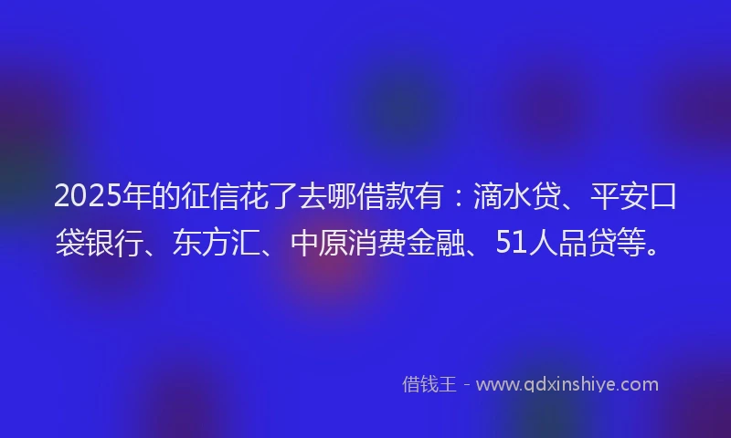 2025年的征信花了去哪借款有：滴水贷、平安口袋银行、东方汇、中原消费金融、51人品贷等。