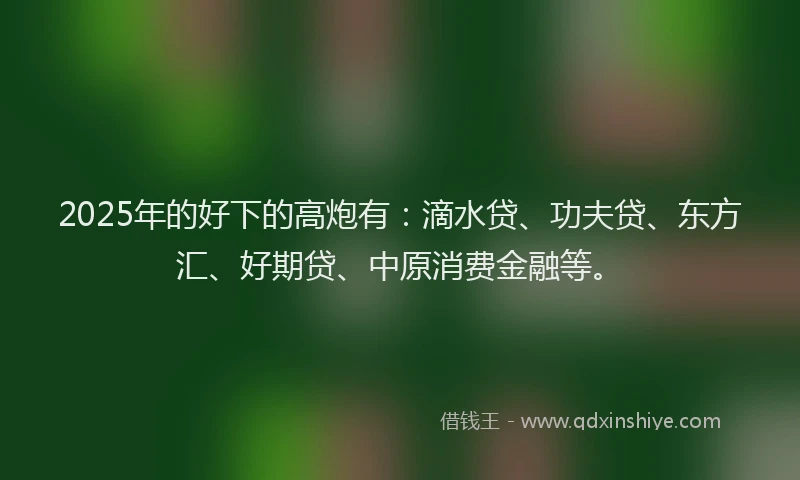 2025年的好下的高炮有：滴水贷、功夫贷、东方汇、好期贷、中原消费金融等。