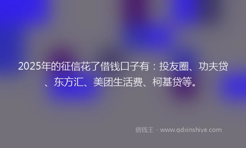 2025年的征信花了借钱口子有：投友圈、功夫贷、东方汇、美团生活费、柯基贷等。