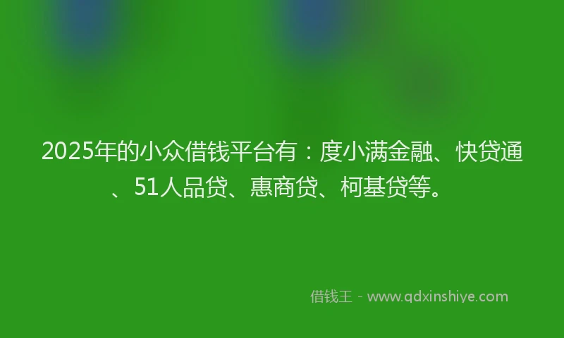 2025年的小众借钱平台有：度小满金融、快贷通、51人品贷、惠商贷、柯基贷等。
