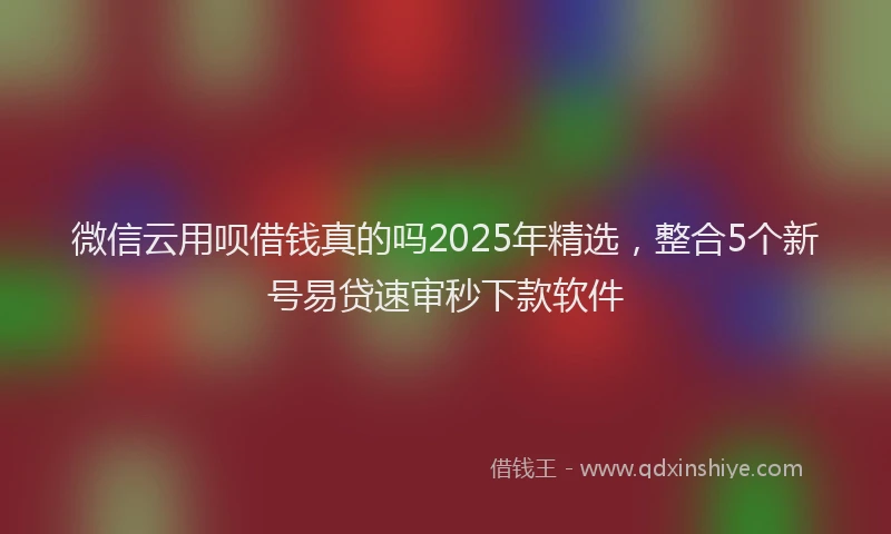 微信云用呗借钱真的吗2025年精选，整合5个新号易贷速审秒下款软件