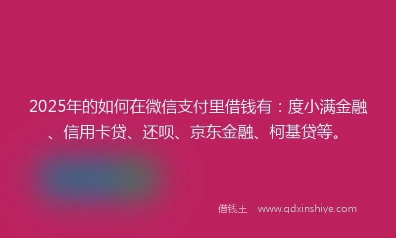 2025年的如何在微信支付里借钱有：度小满金融、信用卡贷、还呗、京东金融、柯基贷等。