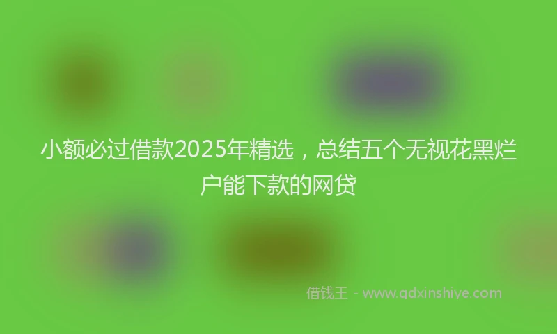 小额必过借款2025年精选，总结五个无视花黑烂户能下款的网贷