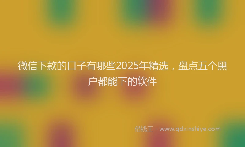 微信下款的口子有哪些2025年精选，盘点五个黑户都能下的软件
