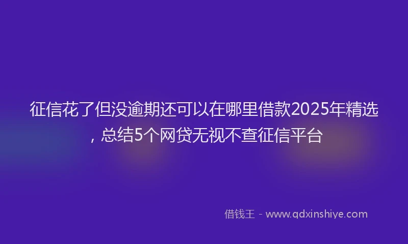 征信花了但没逾期还可以在哪里借款2025年精选，总结5个网贷无视不查征信平台
