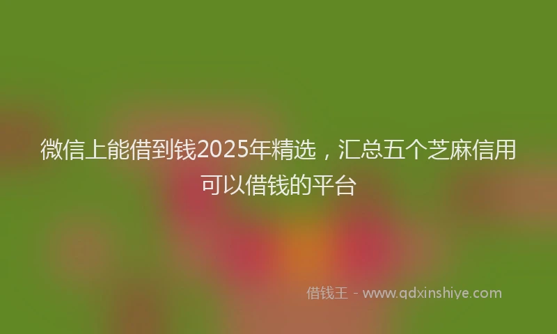 微信上能借到钱2025年精选，汇总五个芝麻信用可以借钱的平台
