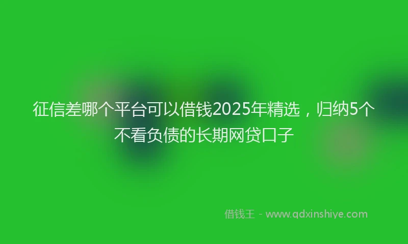 征信差哪个平台可以借钱2025年精选，归纳5个不看负债的长期网贷口子