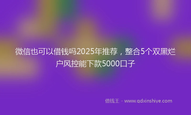 微信也可以借钱吗2025年推荐，整合5个双黑烂户风控能下款5000口子