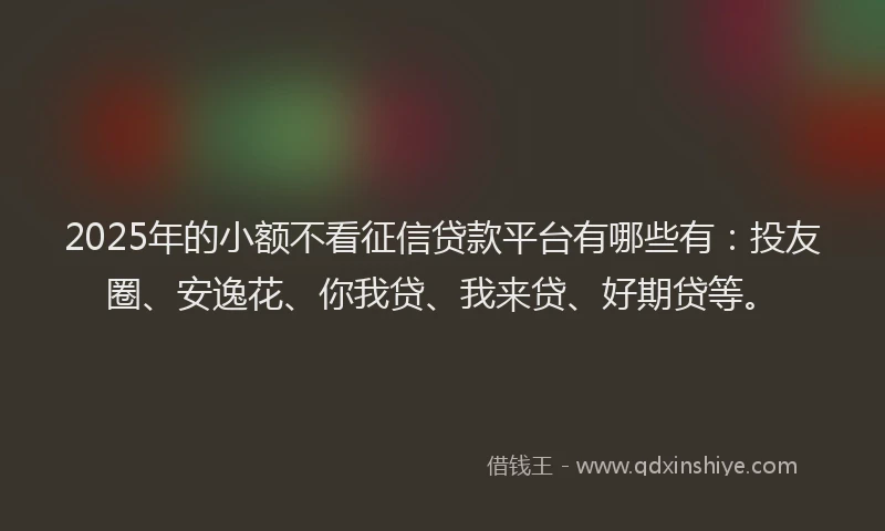 2025年的小额不看征信贷款平台有哪些有：投友圈、安逸花、你我贷、我来贷、好期贷等。