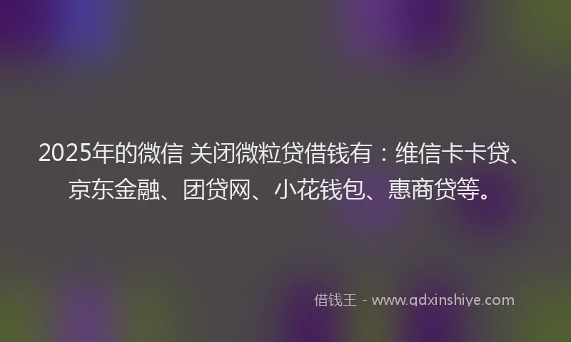 2025年的微信 关闭微粒贷借钱有：维信卡卡贷、京东金融、团贷网、小花钱包、惠商贷等。