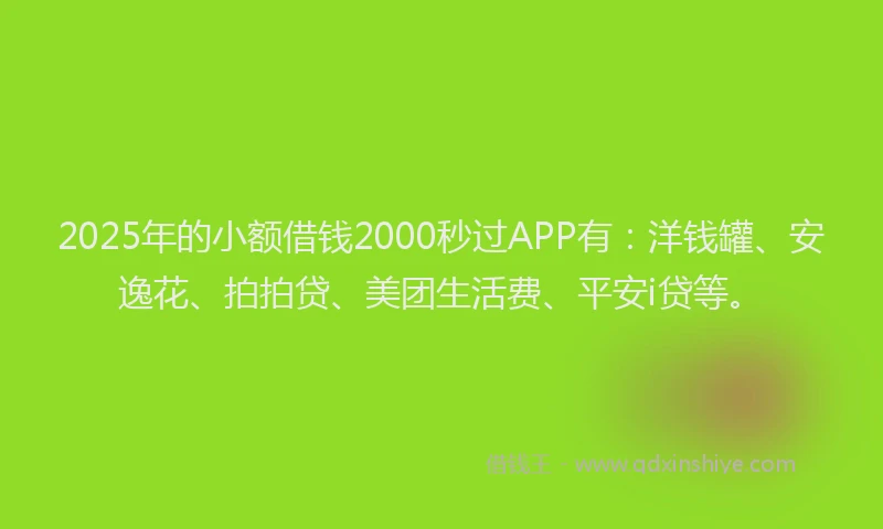 2025年的小额借钱2000秒过APP有：洋钱罐、安逸花、拍拍贷、美团生活费、平安i贷等。