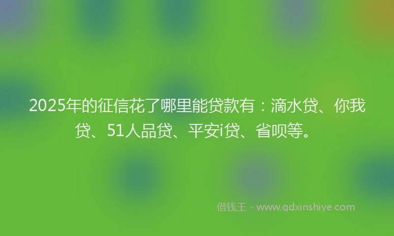 2025年的征信花了哪里能贷款有：滴水贷、你我贷、51人品贷、平安i贷、省呗等。