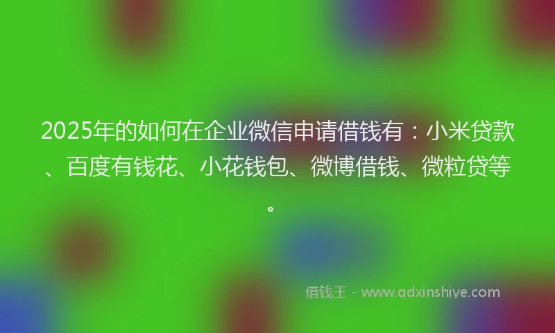 2025年的如何在企业微信申请借钱有：小米贷款、百度有钱花、小花钱包、微博借钱、微粒贷等。