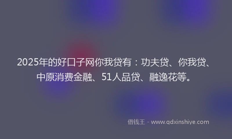 2025年的好口子网你我贷有：功夫贷、你我贷、中原消费金融、51人品贷、融逸花等。
