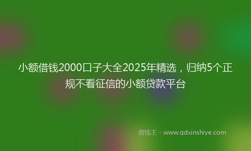 小额借钱2000口子大全2025年精选，归纳5个正规不看征信的小额贷款平台