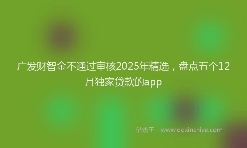 广发财智金不通过审核2025年精选，盘点五个12月独家贷款的app
