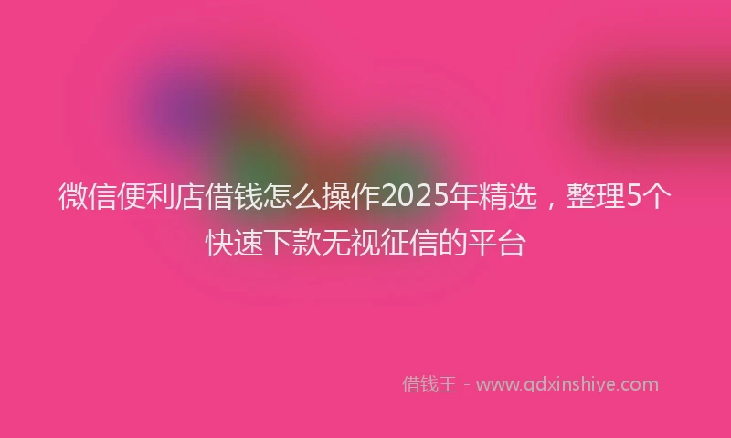 微信便利店借钱怎么操作2025年精选，整理5个快速下款无视征信的平台