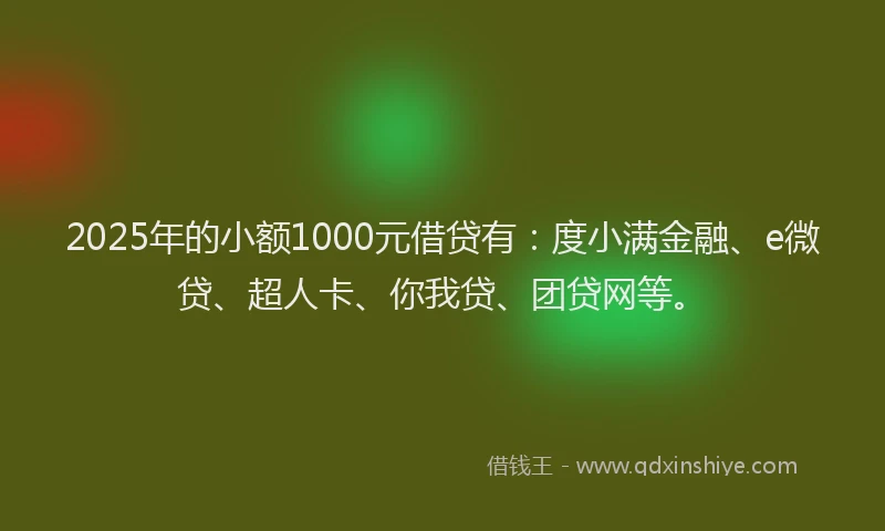 2025年的小额1000元借贷有：度小满金融、e微贷、超人卡、你我贷、团贷网等。