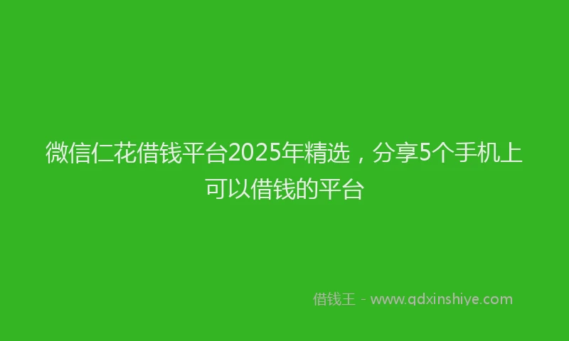 微信仁花借钱平台2025年精选，分享5个手机上可以借钱的平台