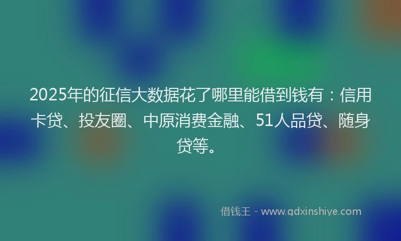 2025年的征信大数据花了哪里能借到钱有：信用卡贷、投友圈、中原消费金融、51人品贷、随身贷等。
