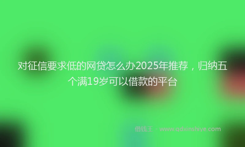 对征信要求低的网贷怎么办2025年推荐，归纳五个满19岁可以借款的平台